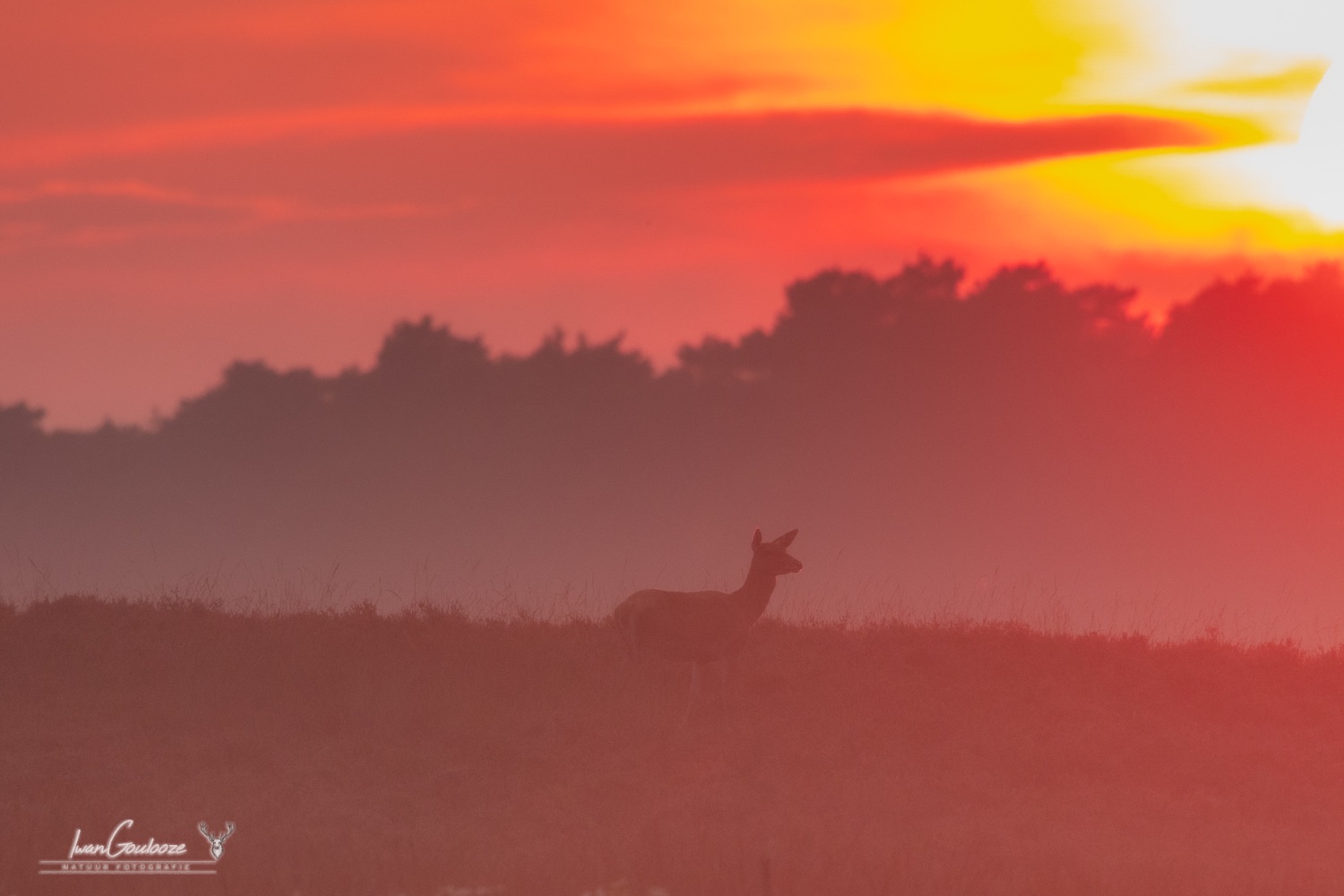 17 september 2023 194017  R2A5571